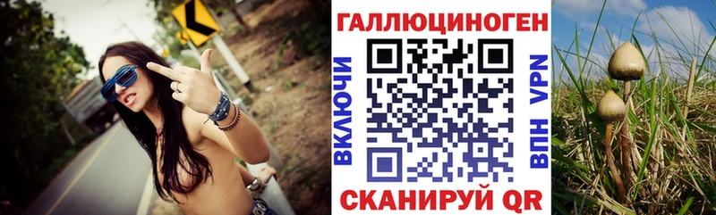 Псилоцибиновые грибы Cubensis  Навашино 